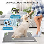 Bamboo Carbon Pet Training Pads | 5-Layer Leak-Proof | ISO CE Certified | Wholesale