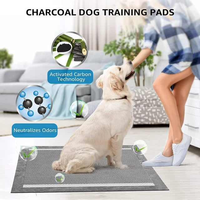 Bamboo Carbon Pet Training Pads | 5-Layer Leak-Proof | ISO CE Certified | Wholesale