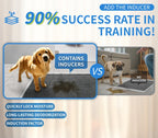 Custom 5-Layer Pet Training Pads with Japan SAP | Bulk Wholesale Dog Puppy Pads 10,000 MOQ