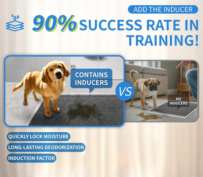 Custom 5-Layer Pet Training Pads with Japan SAP | Bulk Wholesale Dog Puppy Pads 10,000 MOQ