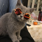 Custom Pet Sunglasses with Logo | Dog Cat Novelty MOQ 10