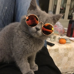 Custom Pet Sunglasses with Logo | Dog Cat Novelty MOQ 10