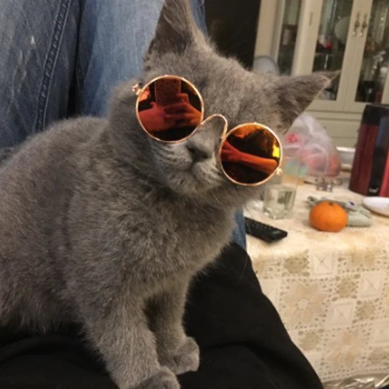 Custom Pet Sunglasses with Logo | Dog Cat Novelty MOQ 10