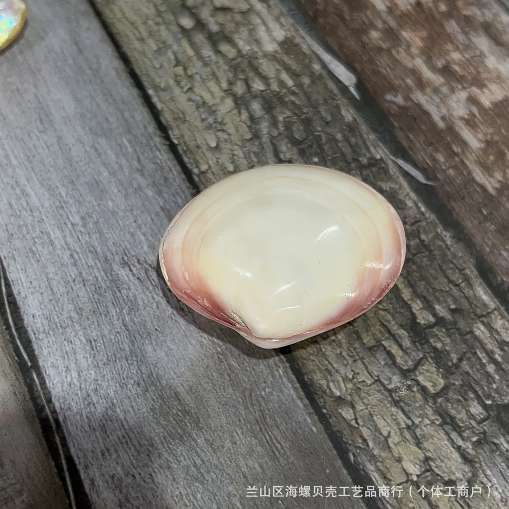 Natural Shell Pendants 50 pcs | Wholesale Craft Charms