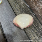 Natural Shell Pendants 50 pcs | Wholesale Craft Charms