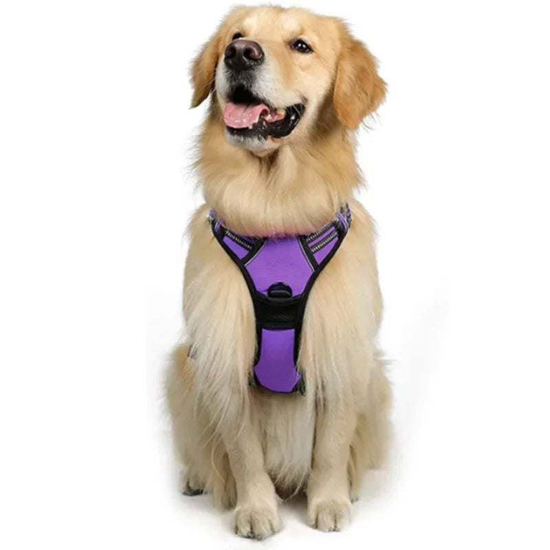 Custom Logo Dog Harness Set Wholesale | Reflective Adjustable No-Pull with BSCI