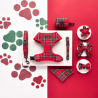 Custom Dog Harness Set with Logo | Low MOQ 20 Pcs