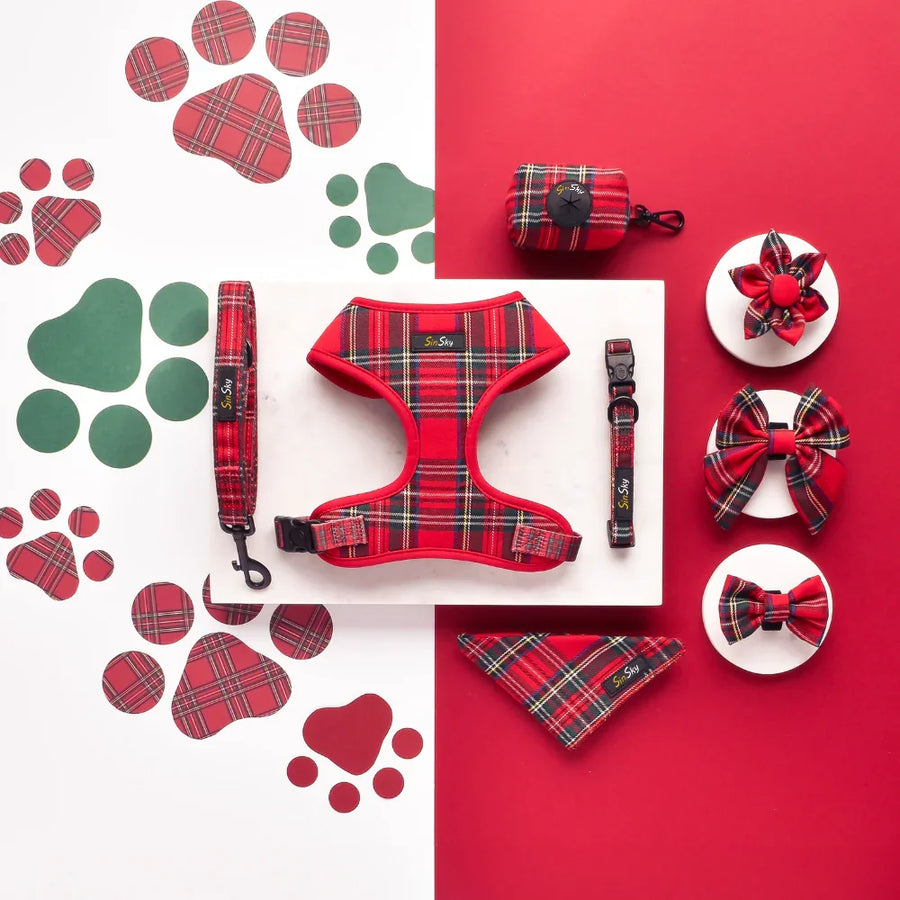 Custom Dog Harness Set with Logo | Low MOQ 20 Pcs