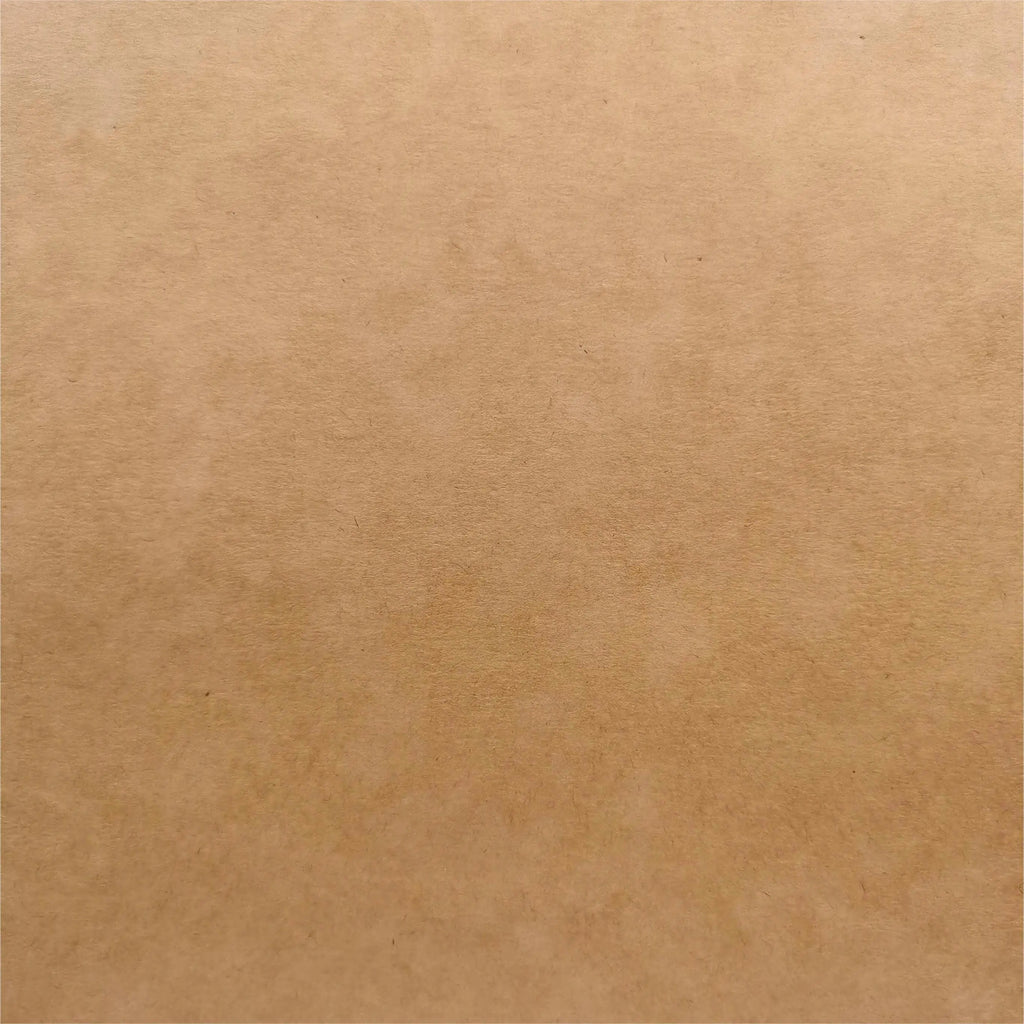 Custom Kraft Paper Bags | Recyclable Shopping Bags