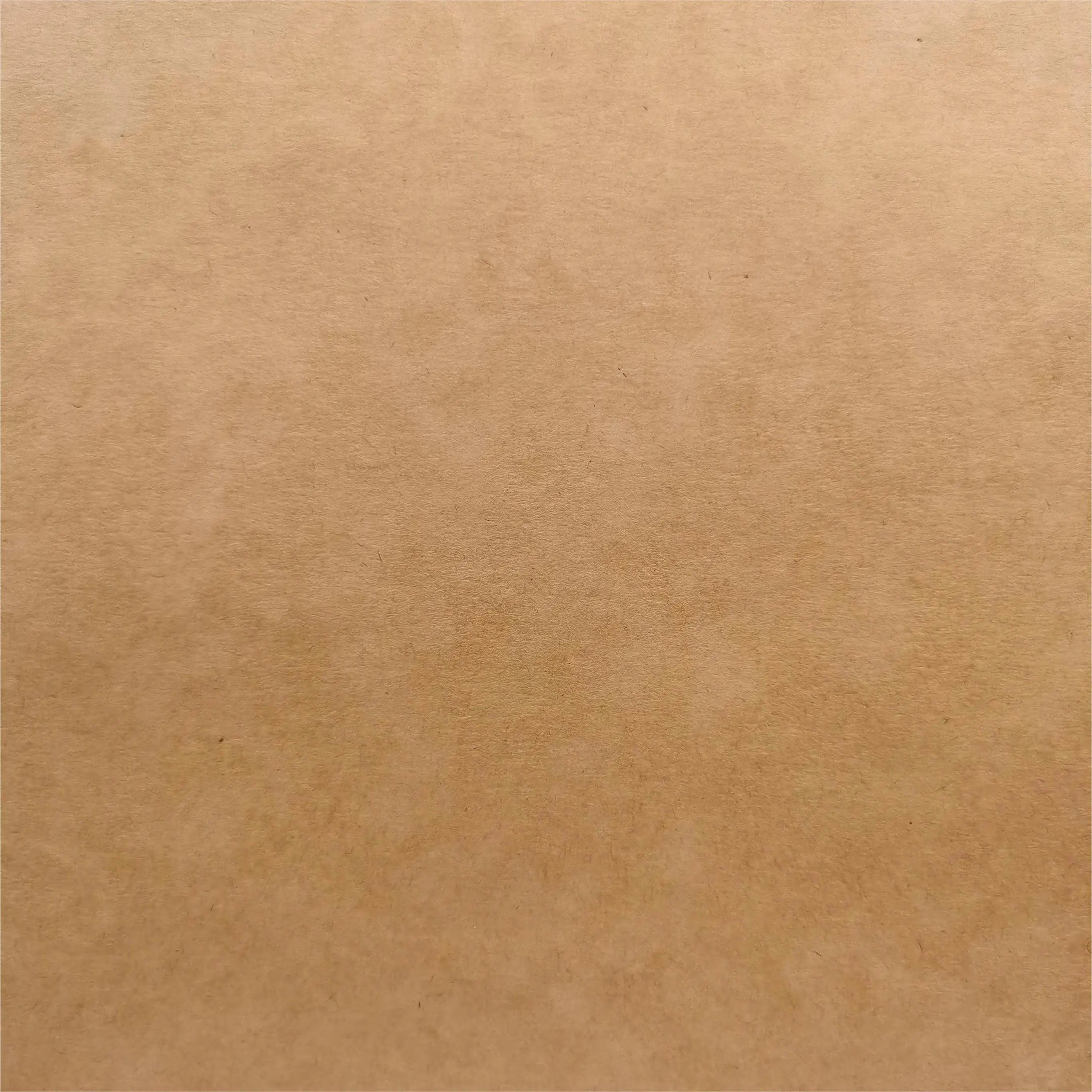 Custom Kraft Paper Bags | Recyclable Shopping Bags