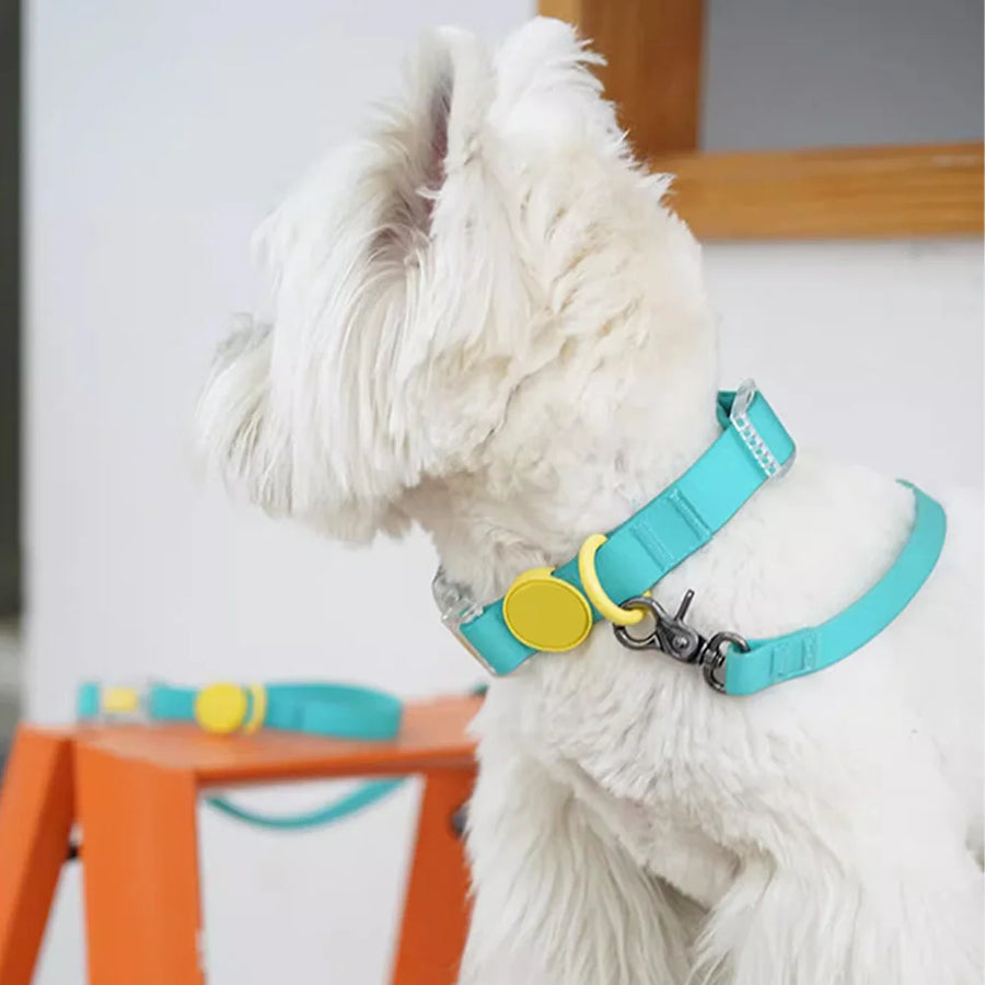 Custom PVC Dog Leash | 50 Pcs MOQ, Waterproof | Eco-Friendly Pet Accessory