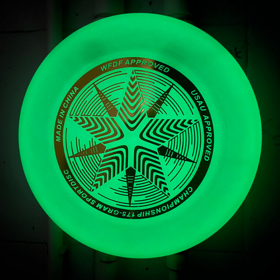 Custom Silicone Flying Disc for Dog Toy and Outdoor Sports | 20cm