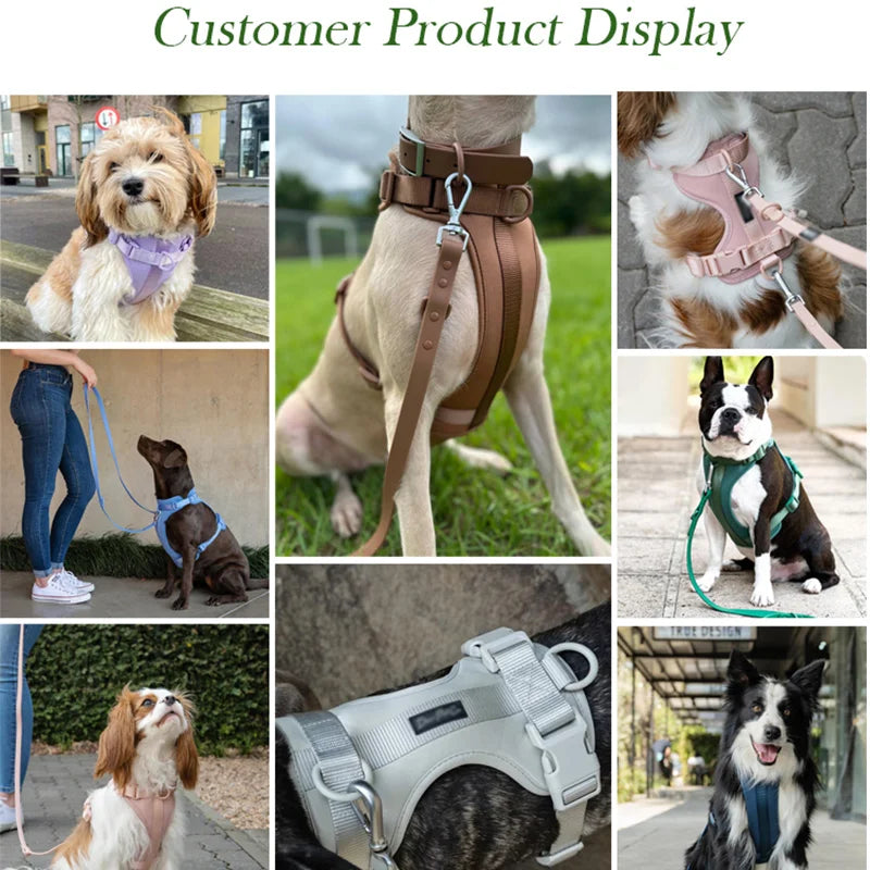 Custom Dog Harness Set with Logo | 300 MOQ | PVC Waterproof