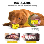 Natural Rubber Dog Toy | Tooth Cleaning, Treat Dispenser | 100 Pcs MOQ