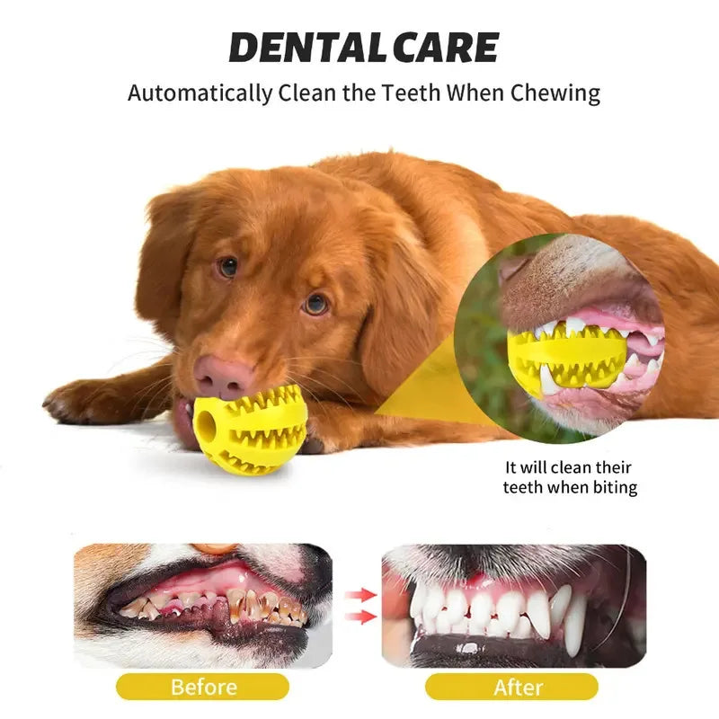 Natural Rubber Dog Toy | Tooth Cleaning, Treat Dispenser | 100 Pcs MOQ