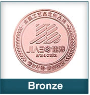 Custom 3D Challenge Coins Zinc Alloy | Gold Silver Plated | 50pc MOQ