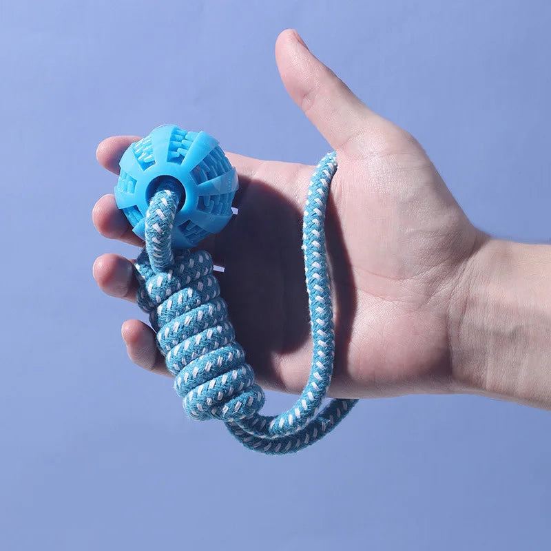 Braided Rope & Rubber Ball Dog Toy | 5 Pcs MOQ | BSCI Certified