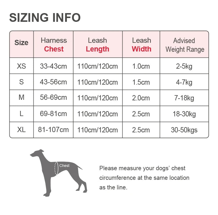Truelove Pet Harness Set with Logo | 10 MOQ | 7-Day Lead