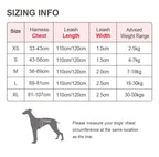 Truelove Pet Harness Set with Logo | 10 MOQ | 7-Day Lead