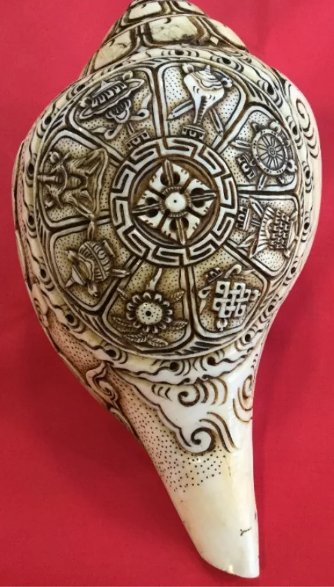 Natural Conch Shells | Buddhist Art Decor | Eco-Friendly