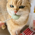 Custom Freeze-Dried Cat Treats with Chicken | MOQ 150 Pieces