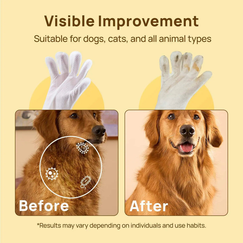 Custom 6-Pack Pet Wipes | Hypoallergenic | Custom Fragrance | MOQ 300