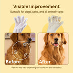 Custom 6-Pack Pet Wipes | Hypoallergenic | Custom Fragrance | MOQ 300