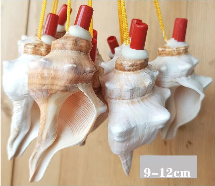 Natural Shell Whistles | Souvenir Gifts | Wholesale Pricing