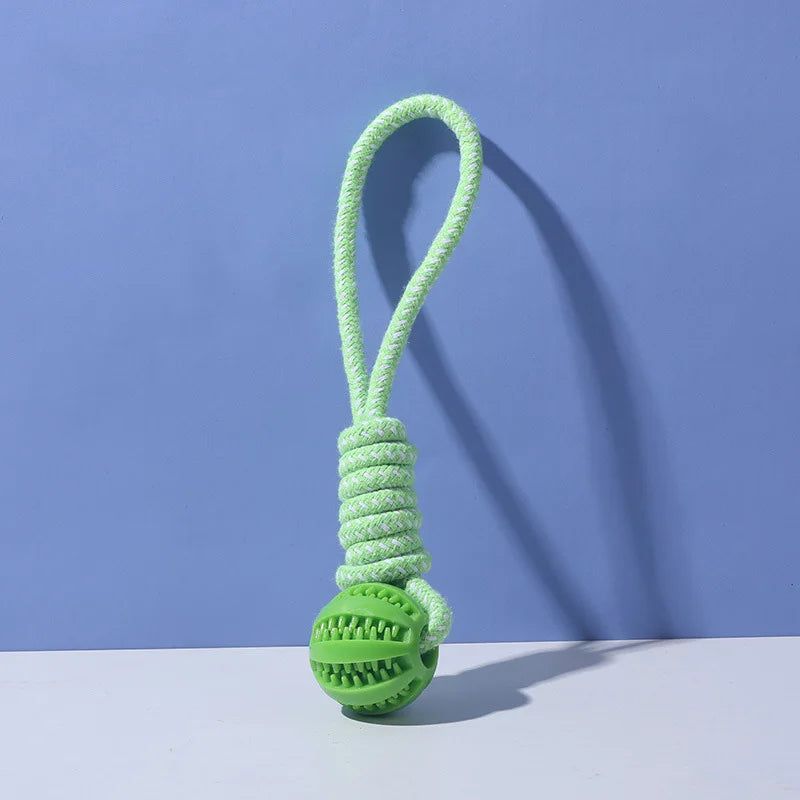 Braided Rope & Rubber Ball Dog Toy | 5 Pcs MOQ | BSCI Certified