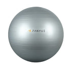 Custom Anti-Burst Exercise Ball | PVC Yoga Ball with Pump | Bulk Fitness Equipment