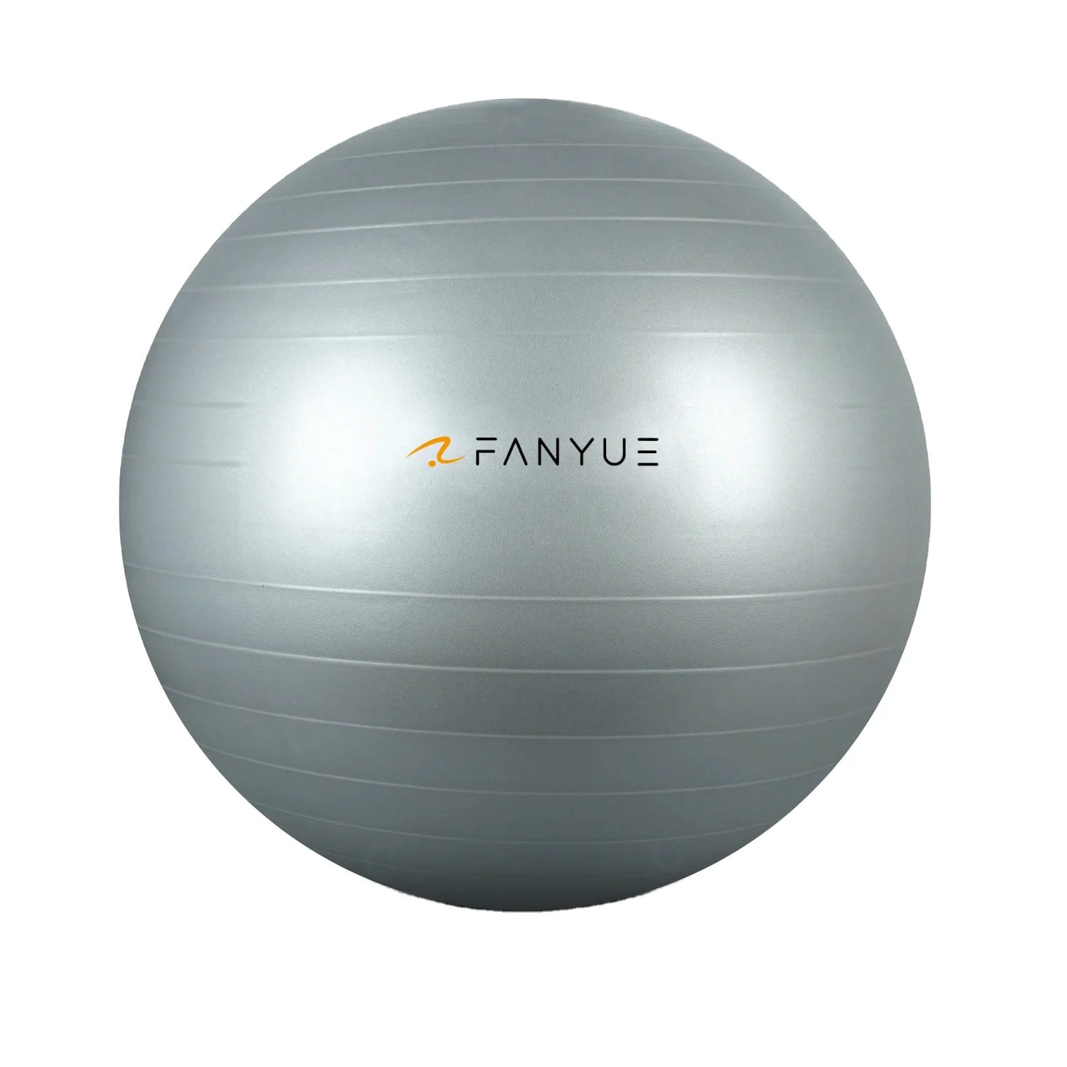 Custom Anti-Burst Exercise Ball | PVC Yoga Ball with Pump | Bulk Fitness Equipment