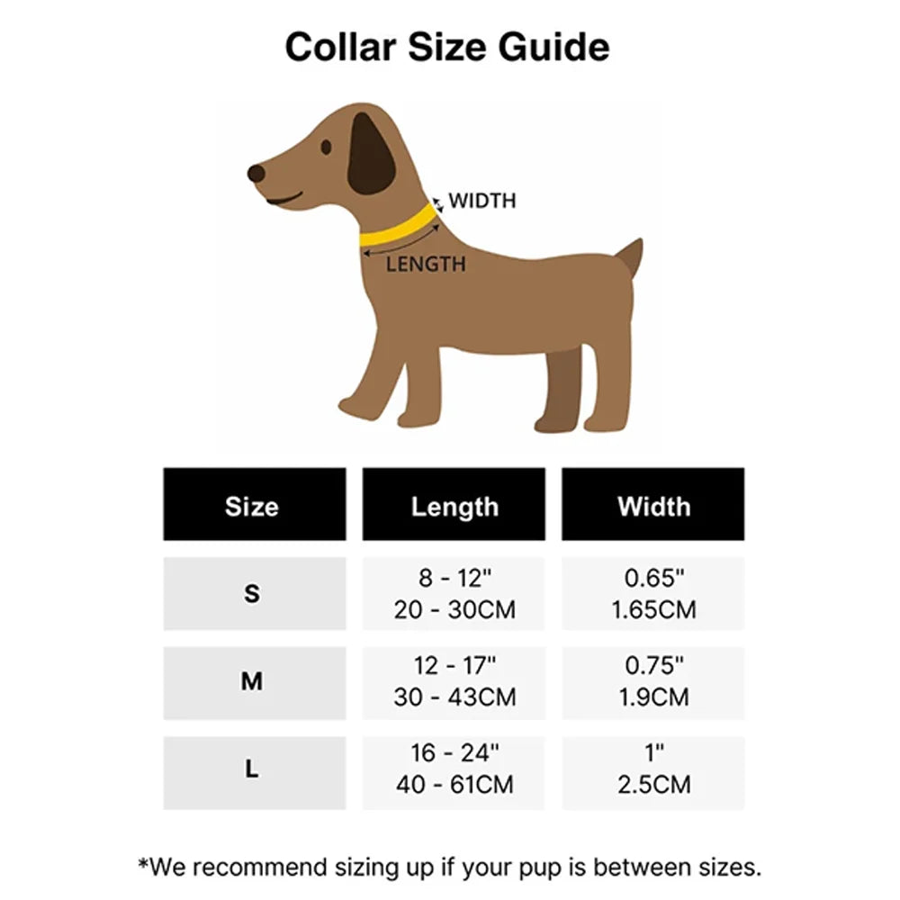 Custom PVC Dog Collar | Waterproof Non-Slip Pet Collar