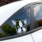 Waterproof UV Resistance Vehicle Transfer Amine Car Decals Custom Vinyl Die Cut Window Stickers 3d Car Decal