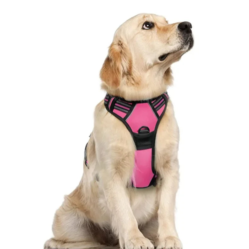 Custom Logo Dog Harness Set Wholesale | Reflective Adjustable No-Pull with BSCI