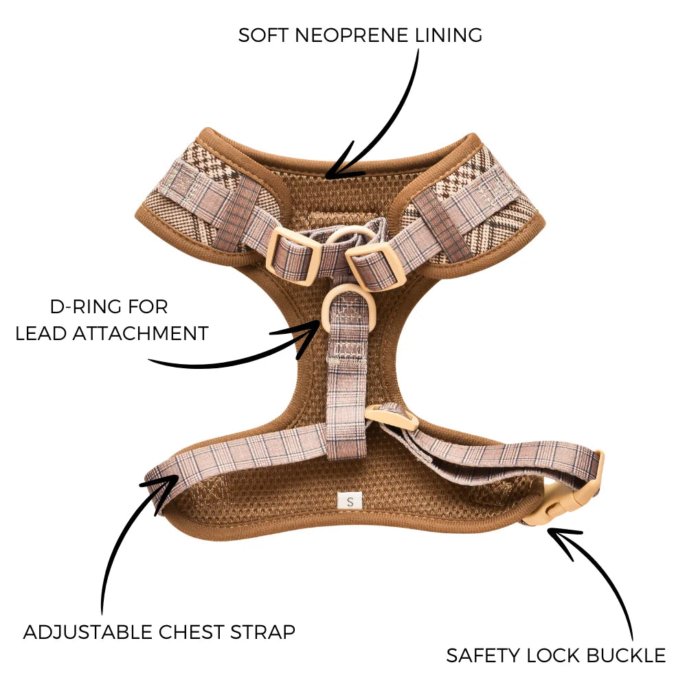 Custom Dog Harness Set with Logo | Low MOQ 20 Pcs