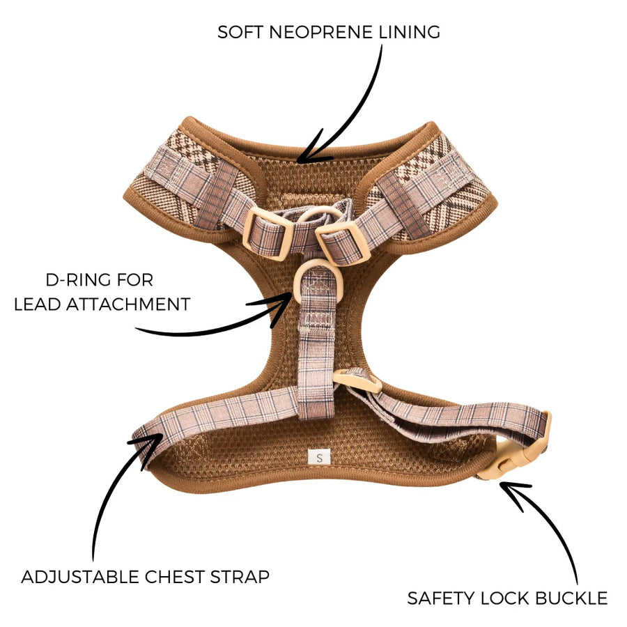 Custom Dog Harness Set with Logo | Low MOQ 20 Pcs