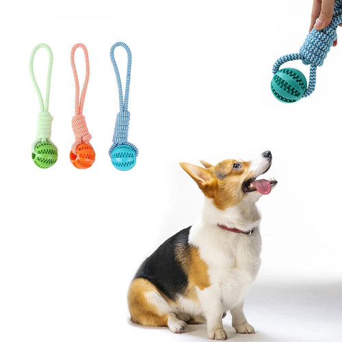 Braided Rope & Rubber Ball Dog Toy | 5 Pcs MOQ | BSCI Certified