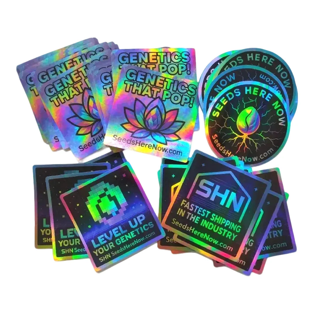 Custom Waterproof Vinyl Roll Labels with Logo | MOQ 100