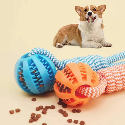 Braided Rope & Rubber Ball Dog Toy | 5 Pcs MOQ | BSCI Certified