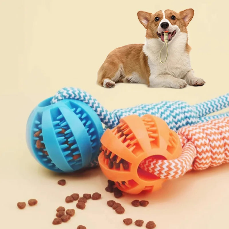 Braided Rope & Rubber Ball Dog Toy | 5 Pcs MOQ | BSCI Certified