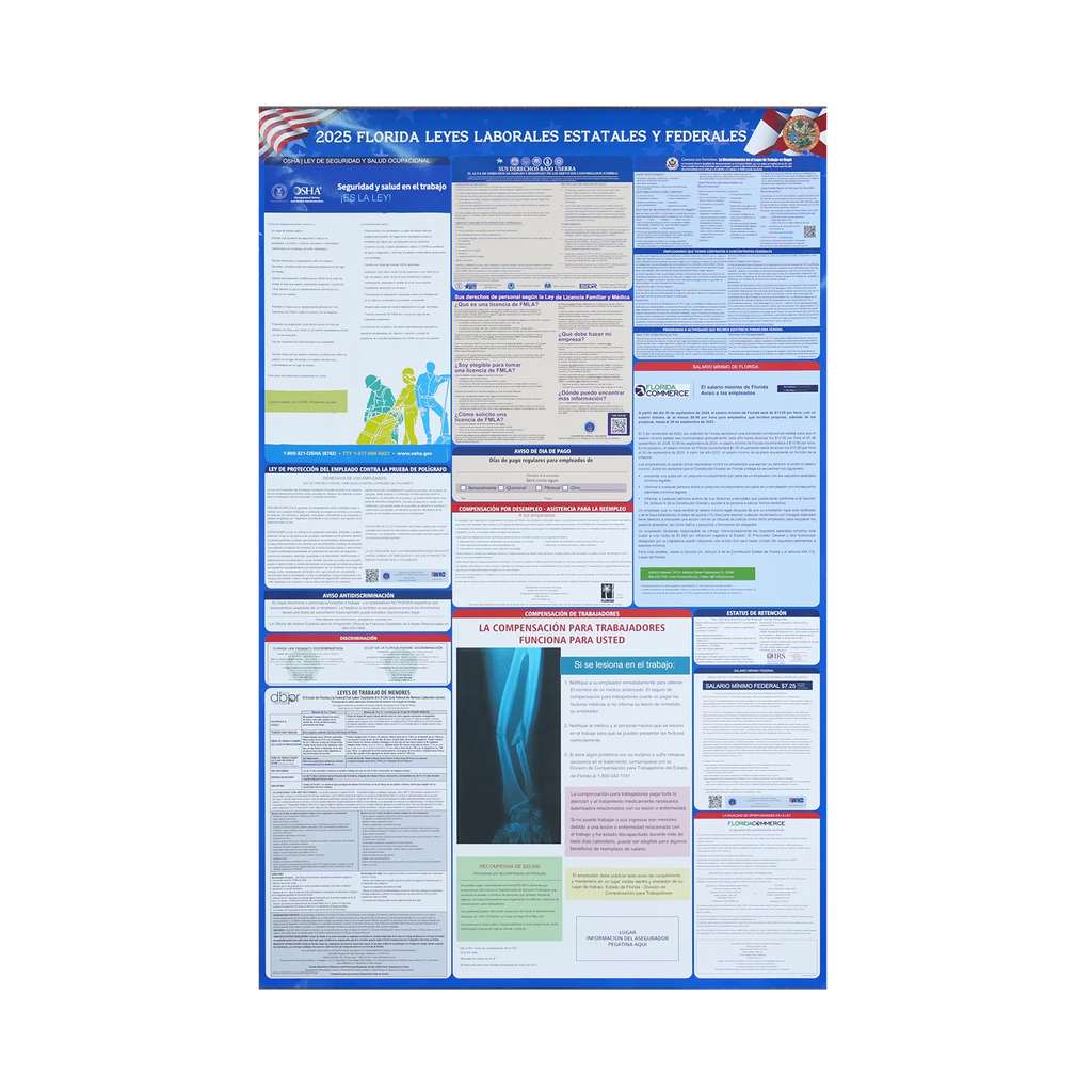 Custom Poster Printing Service | Sustainable Paperboard Wall Art Factory