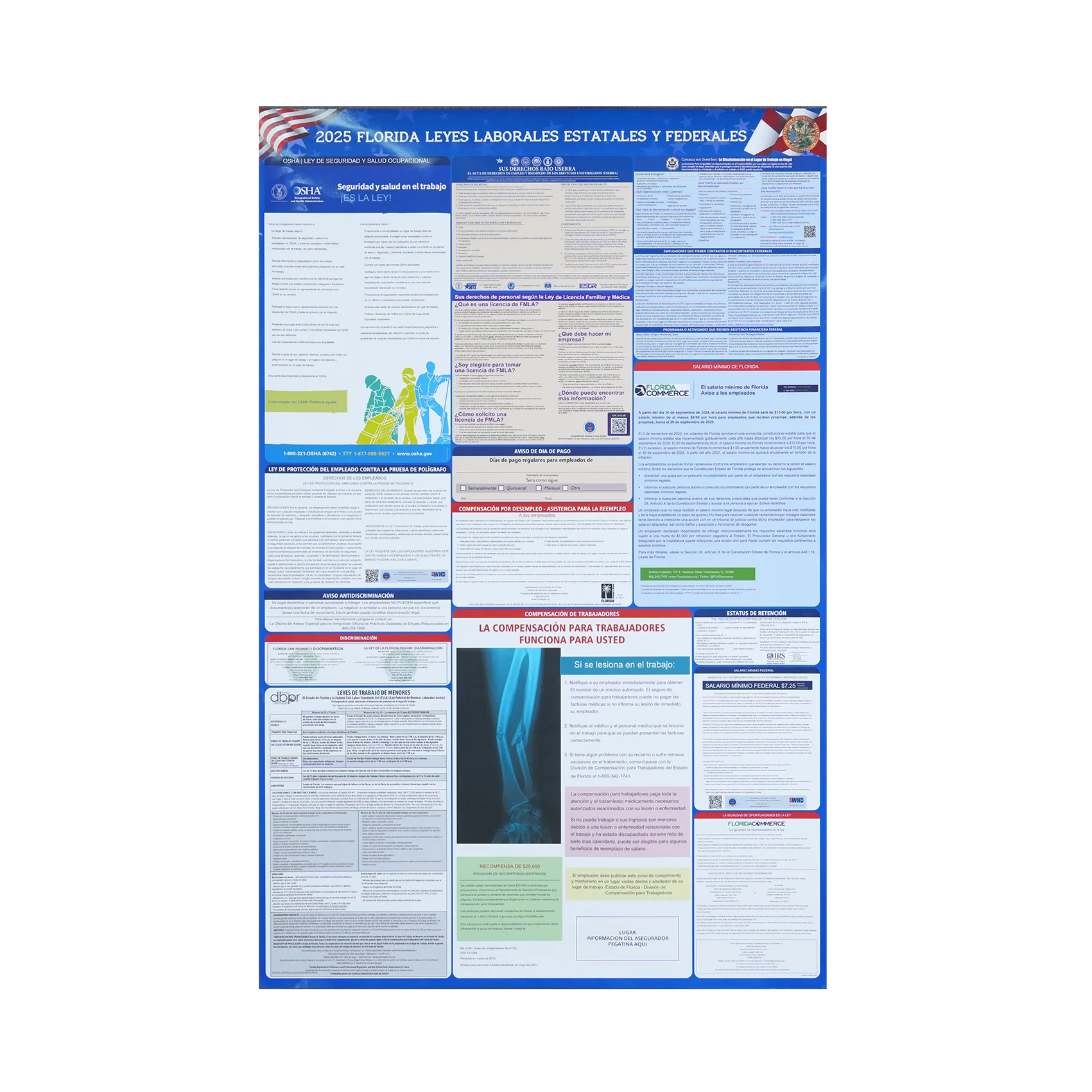 Custom Poster Printing Service | Sustainable Paperboard Wall Art Factory
