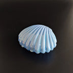 Seashell Favor Boxes | Iridescent Wedding Favors | Personalized