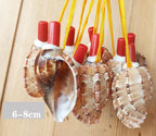 Natural Shell Whistles | Souvenir Gifts | Wholesale Pricing