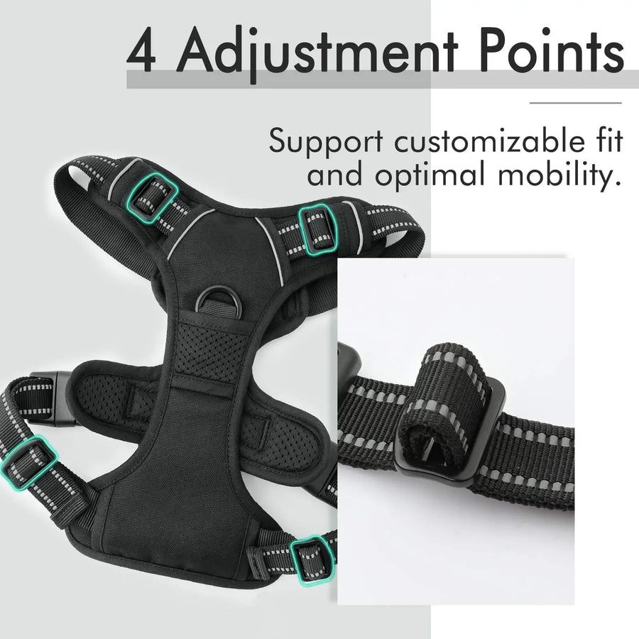 Custom Logo Dog Harness Set Wholesale | Reflective Adjustable No-Pull with BSCI