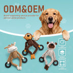 Custom No Stuffing Plush Dog Toy | Reinforced Stitching | OEM ODM Wholesale