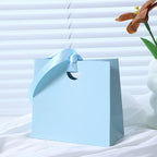 Custom Ribbon Handle Paper Gift Bags | Jewelry Packaging MOQ 100