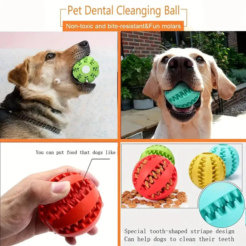 Natural Rubber Dog Toy | Tooth Cleaning, Treat Dispenser | 100 Pcs MOQ