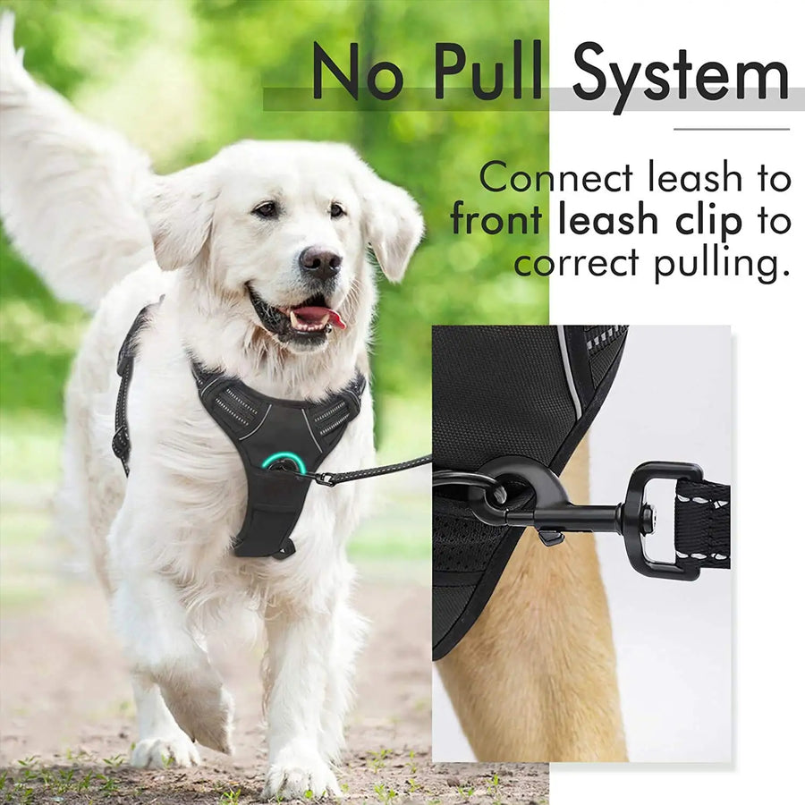 Custom Logo Dog Harness Set Wholesale | Reflective Adjustable No-Pull with BSCI