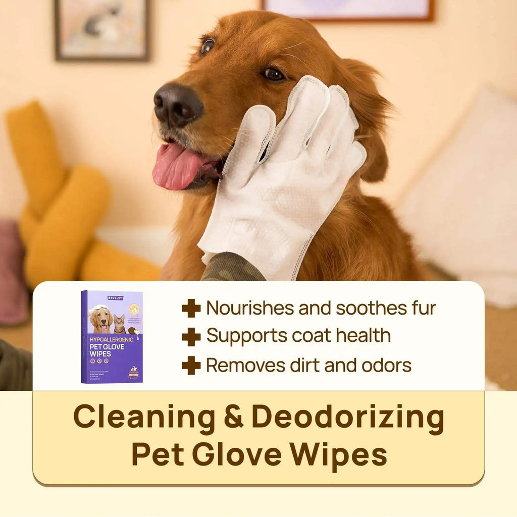 Custom 6-Pack Pet Wipes | Hypoallergenic | Custom Fragrance | MOQ 300